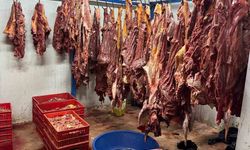 Adana’da 3 Ton Bozulmuş Tek Tırnaklı Et Ele Geçirildi