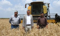 "Yıllık 10 Milyon Tonun Üzerinde Buğday İthal Ediliyor"