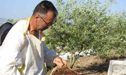 Doktorun Bal Tavsiyesi, Arıcılık Serüvenini Başlattı