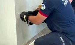 Alçıpan Duvar Arasında Sıkışan Yavru Kediyi İtfaiye Kurtardı