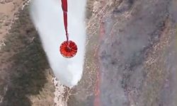 Ziraat Arazisinde Başlayan Yangın Ormanlık Alana Yayılıyor