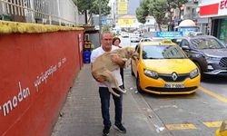 Hayvansever Taksici, Hasta Köpeği Veterinere Götürdü