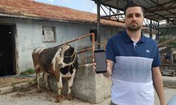 Sosyal Medyadan Kurbanlık Almak İsterken Dolandırıldı