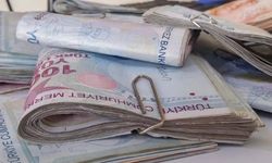 Hesaplarınızı kontrol edin: Başvuranlar bu para varsa 55 bin lira alacak