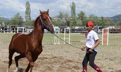 Uluslararası Atçılık Festivali Görsel Şölene Dönüştü