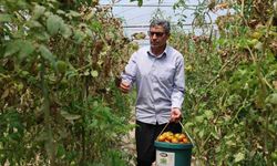 Adana'da Aracıyı Ortadan Kaldıran Çiftçi, Tüketiciye Doğrudan Satışla Kazanç Sağladı