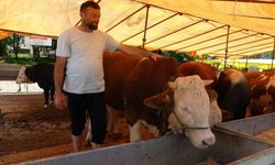 Kurban Satıcıları Dertli