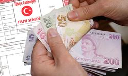 e-Devlet'ten Tapu Kilitleme nasıl yapılır? Tapularınızı dolandırıcılığa karşı korumanın en kolay yolu!