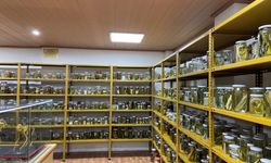 Yılan Müzesi Eğitim ve Araştırma Merkezi Haline Geldi