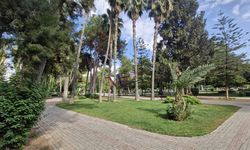 Termometre Bu Dereceyi Gösteriyor Ama... Adana’da Hissedilen Sıcaklıkla Şok Oldular