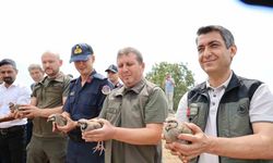 Adana’da Keklikler Göreve Başladı: Şimdi Onlar Düşünsün!