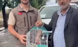 Askerler ve Vatandaşlar Bir Arada: Hayata Yeniden Başladılar
