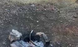 “Ateşi Söndürmeden Gittiler!”: Orman Yangını Son Anda Önledi