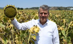 Barut’tan Zehir Zemberek Sözler: “Bu Karar Çiftçiye İhanettir!”