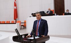 Orman Köylüleri Yangınlarda Neden Dışlandı? Barut’un Çarpıcı Açıklaması