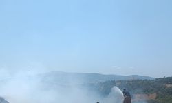 Bir Kıvılcım Yetti, Ortalık Alev Aldı! Çöplük Yangını Korkuttu