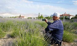 Boş Arazi Lavanta Bahçesine Dönüştü, Turizm Kapıları Aralandı