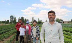Bu Görüntüler Yazın En Yakıcı Gerçeği: Emeğin Bedeli Terle Ölçülüyor