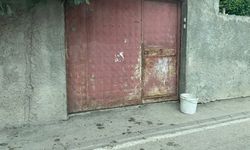 Yaz Sıcağında Çöp Kokusu! Dağlıoğlu Mahallesi Alarm Veriyor