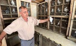 Felaket Her Şeyi Yıktı Ama Kuş Sevgisini Silemedi! Metin Amcanın Yürek Burkan Hikayesi