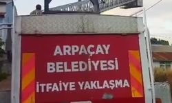 Can Dostun Zor Anları: Yavru Leylek Yuvasına Nasıl Döndü?