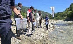 Kırmızı Benekli Sürpriz! Derelere Gizlice Bırakıldılar