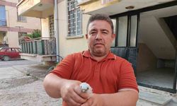 Minik Doğan Kuşu Hayata Tutundu! İşte O Anlar!