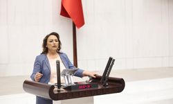 TBMM’de Zeytinlik Krizi! Şevkin: “Bu Yasa Ekolojik Yıkımın Ta Kendisidir”
