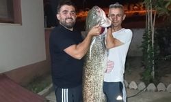 Nehirde Yakalandı, Sosyal Medyayı Salladı! İşte O Dev Yayın Balığı