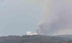 Ormanlar Tekrardan Alev Alev! Yıldırımın Neden Olduğu Yangın Büyüyor