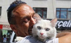 Sokak Sokak Aradığı Kedisine Böyle Kavuştu! Gözyaşlarını Tutamadı