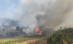 Yangın Kabusu Burayı Sardı! Tarım Arazileri Alevlere Teslim