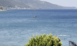 Yunus Balığıyla Unutulmaz Buluşma
