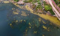 Adana’nın Kalbinde Çevre Felaketi: Turizme Darbe, Doğaya İhanet