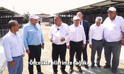 Türkiye Bu Tesisi Konuşacak! İşte Adana’daki Dev Hayvan Barınağı
