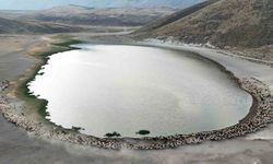 Belgeseli Aratmadı: Sabah Işığında Tozlar İçinde Göç Manzarası!