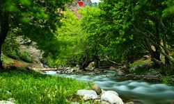 Bu Tarihe Dikkat: Adana’da Telefonun Çekmediği Bir Yerde Büyük Buluşma!