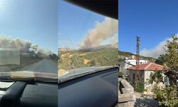 Rüzgar Alevleri Taşıdı! Gelibolu’da Büyük Yangın Alarmı