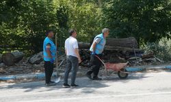 Feke Belediyesi Kolları Sıvadı! İlçe Merkezinde Titiz Operasyon