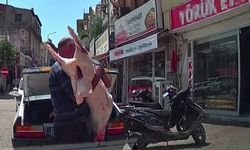 Kozan’da Gıda Güvenliği Alarm Veriyor! O Anlar Kamerada