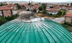 Minarede Ezan, Kubbede Yuva! Leylekler Bu Camiden Vazgeçemiyor