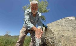 Ne Kremler Ne Maskeler! Cilt İçin Doğal Bir Şifa Kaynağı