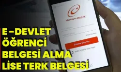 e-Devlet’ten öğrenci belgesi nasıl alınır? 2025 güncel rehber