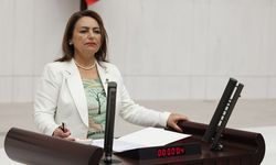 PTT’de Neler Oluyor? CHP’li Şevkin’den Tepki
