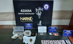 Serada Domates Değil, Bakın Ne Yetiştirmişler!