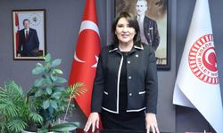 Adana’da Yaz Akşamları Artık Daha Eğlenceli! Ücretsiz Sinema Tırı Yollarda