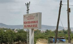 Uçamayan Ebabil Kuşuna Esnaf Kucak Açtı! İşte O Anlar