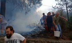 Vatandaşların Kovalarla Mücadelesi Yangını Söndürdü!