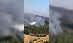 Çanakkale ve Adana’daki Yangınlarda Son Dakika Gelişmesi!