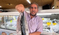 Alabalığın Başkentinden 54 Ülkeye Balık İhracatı